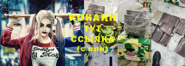 СК Куйбышев