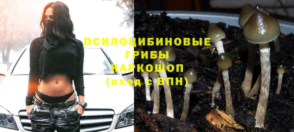 СК Куйбышев