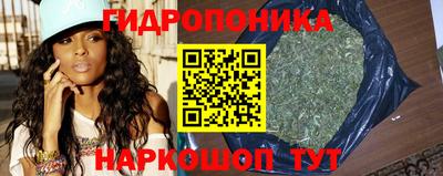 эйфоретик Канаш