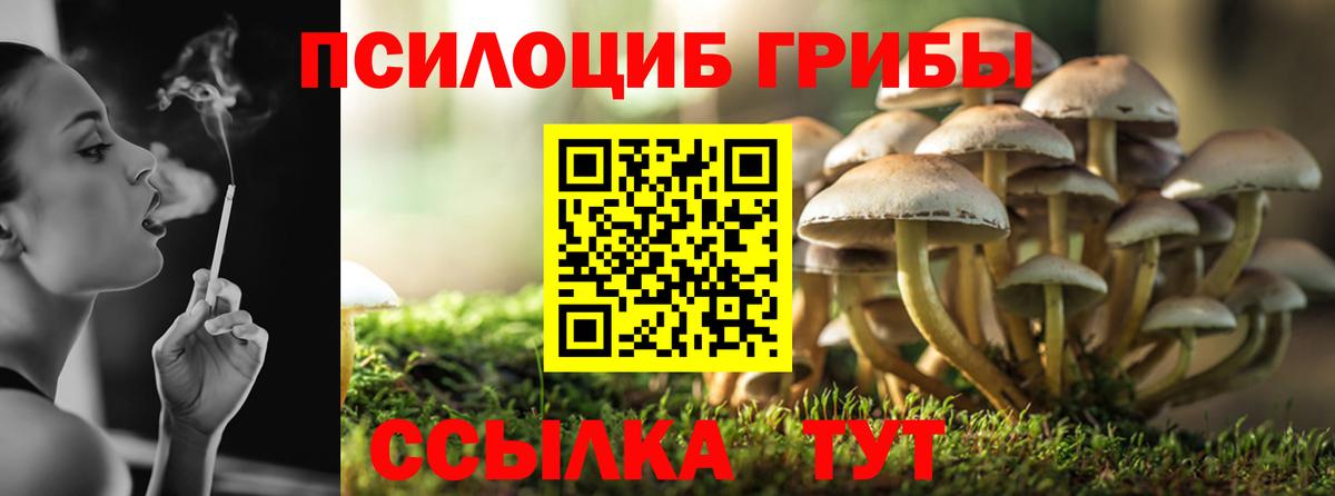 Псилоцибиновые грибы мухоморы  Псилоцибиновые грибы MAGIC MUSHROOMS  Вход с VPN  как найти наркотики  Шатура 