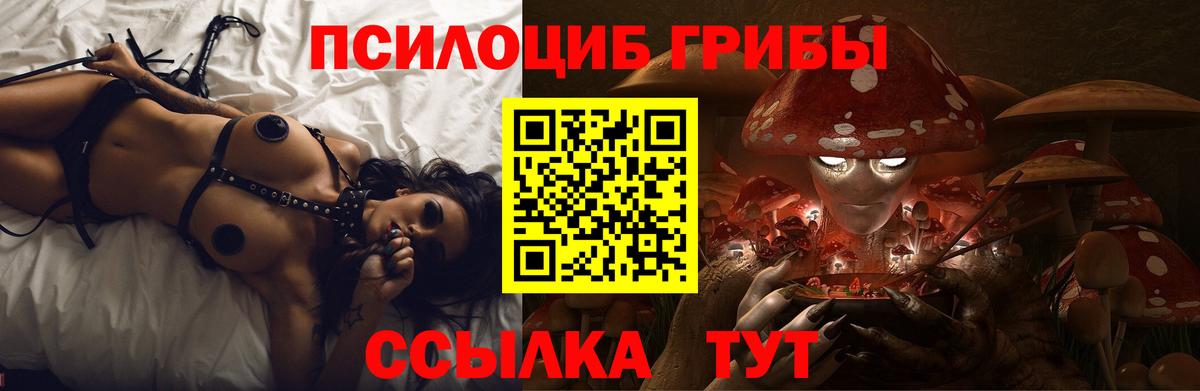 где найти наркотики  Галлюциногенные грибы прущие грибы  Шатура  Псилоцибиновые грибы Psilocybe 
